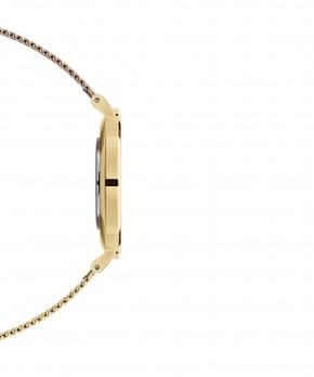 Orologio PETITE EVERGOLD Daniel Wellington Donna Daniel Wellington